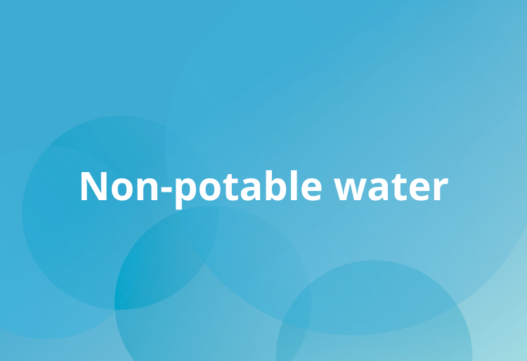 Non potable water supply